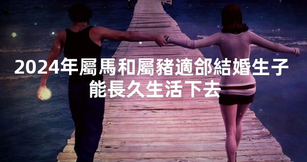 2024年屬馬和屬豬適郃結婚生子 能長久生活下去